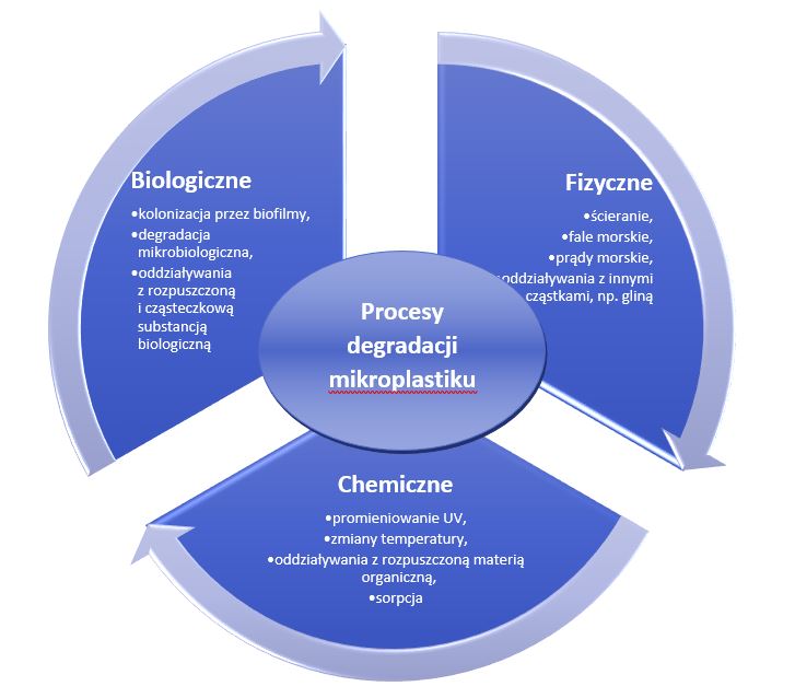 Rysunek 5. Procesy degradacji mikroplastiku [27]. 